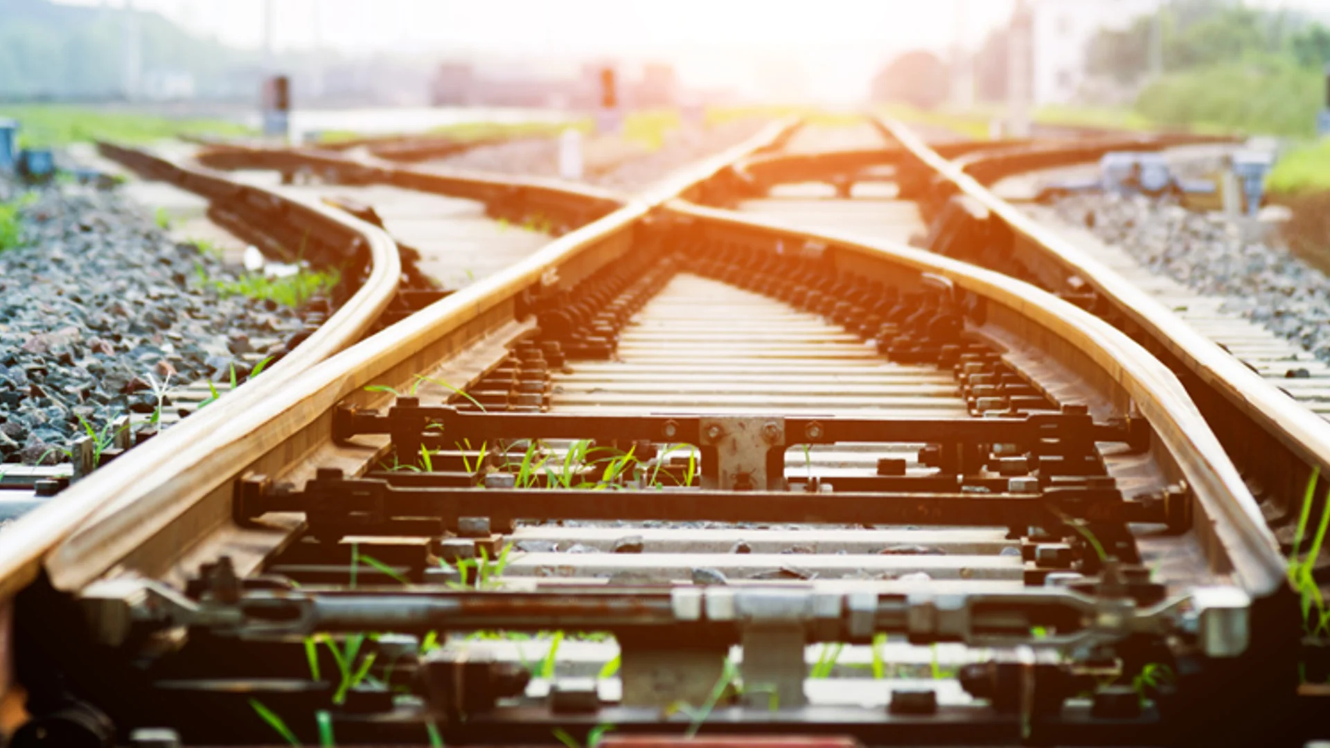 The economic consequences of war