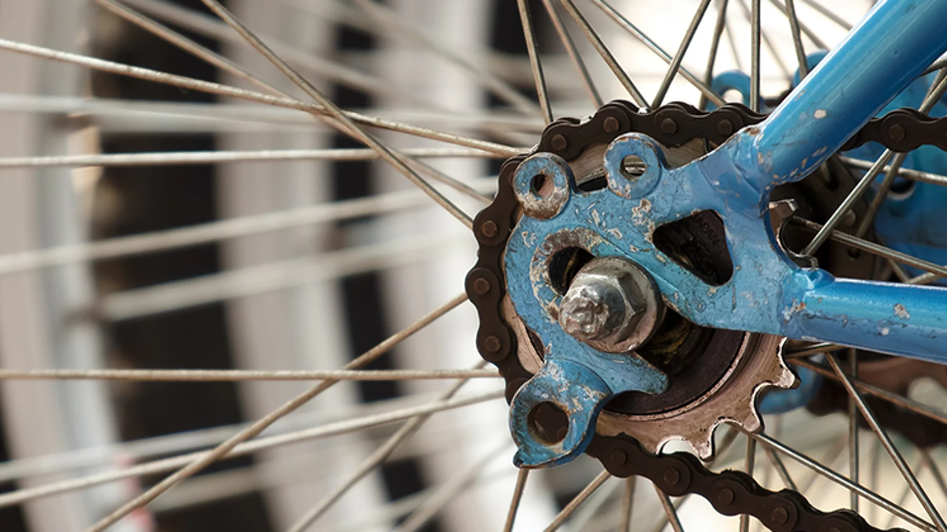 The twists and turns of the cycle