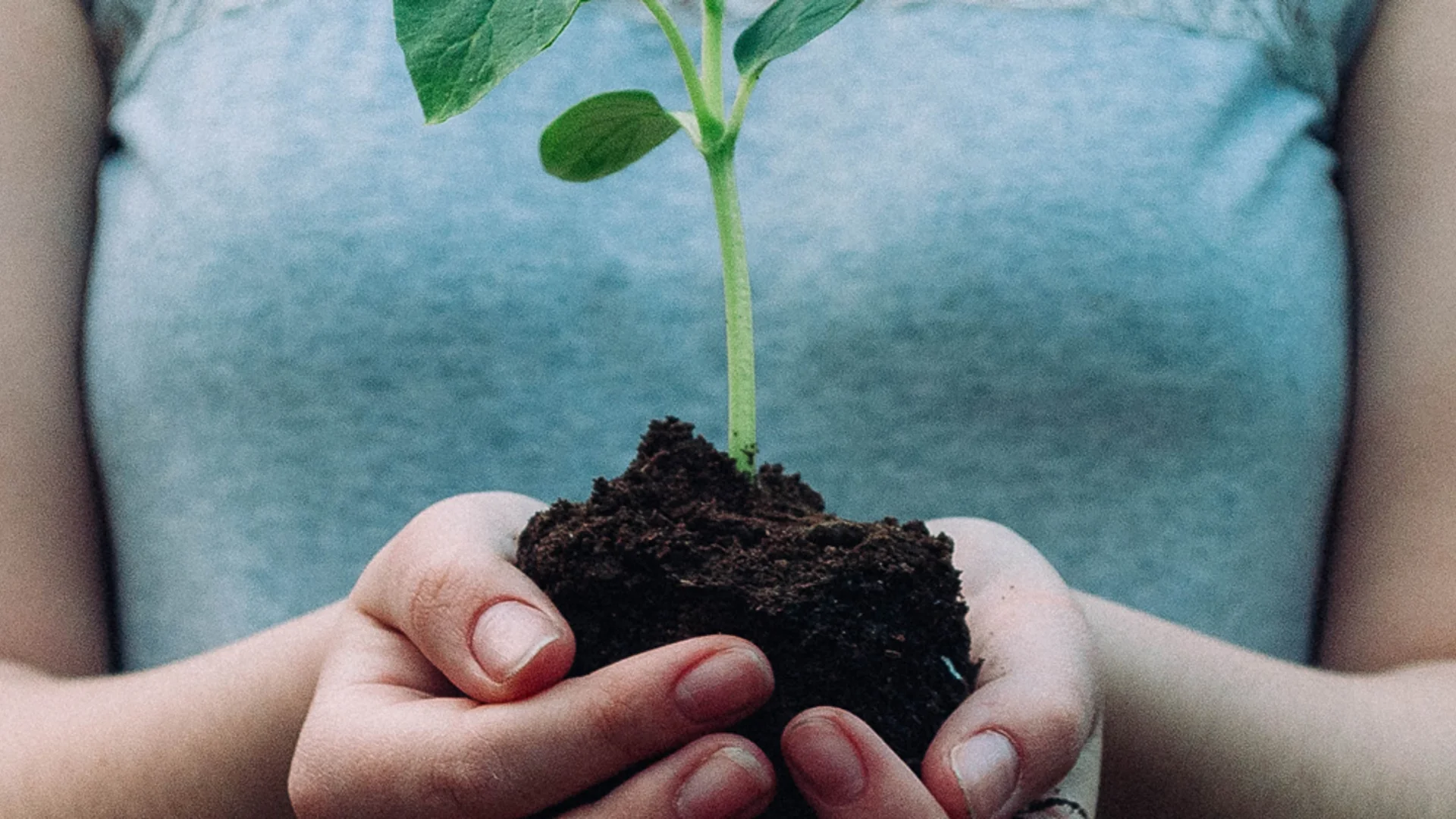 Climate neutral investing: reduce, transform and remove