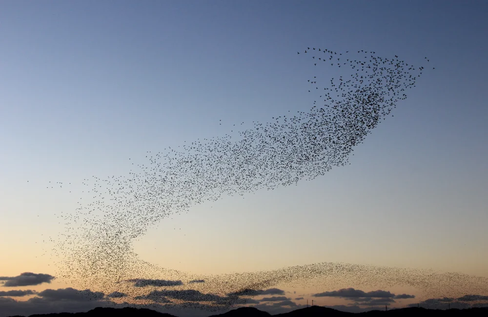 Recalibrating the path – Counterpoint July 2026