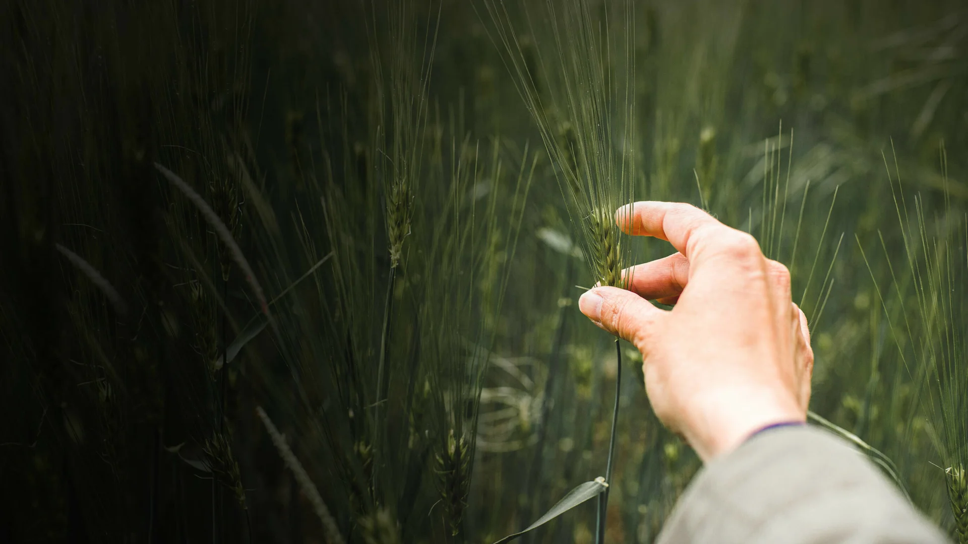 Invest in a changing world