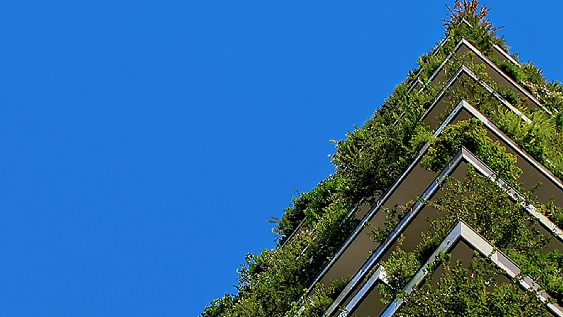 Strategy primer: sustainable leaders