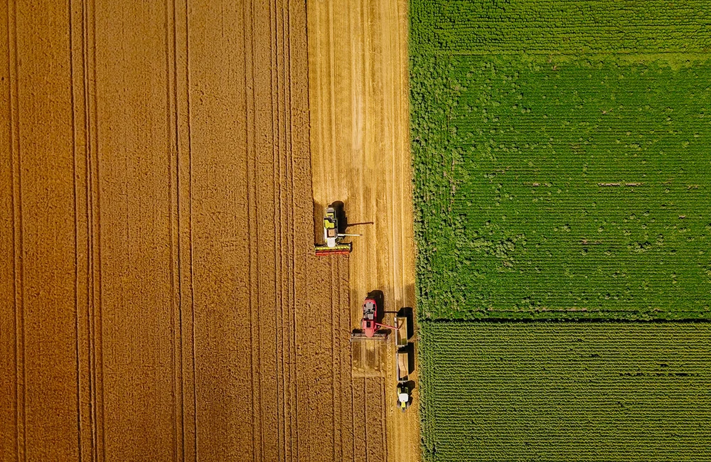 Harvesting profits – Counterpoint September 2025