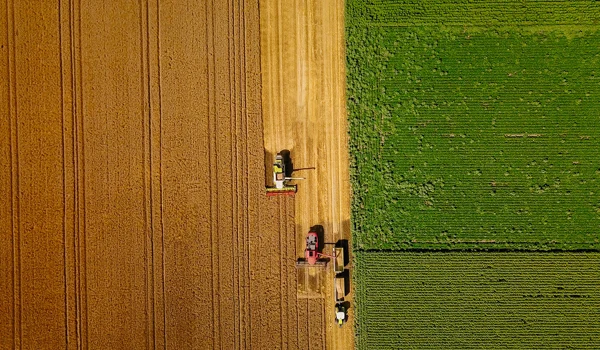 Harvesting profits – Counterpoint September 2025