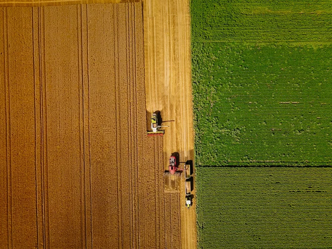 Counterpoint September 2025: Harvesting profits