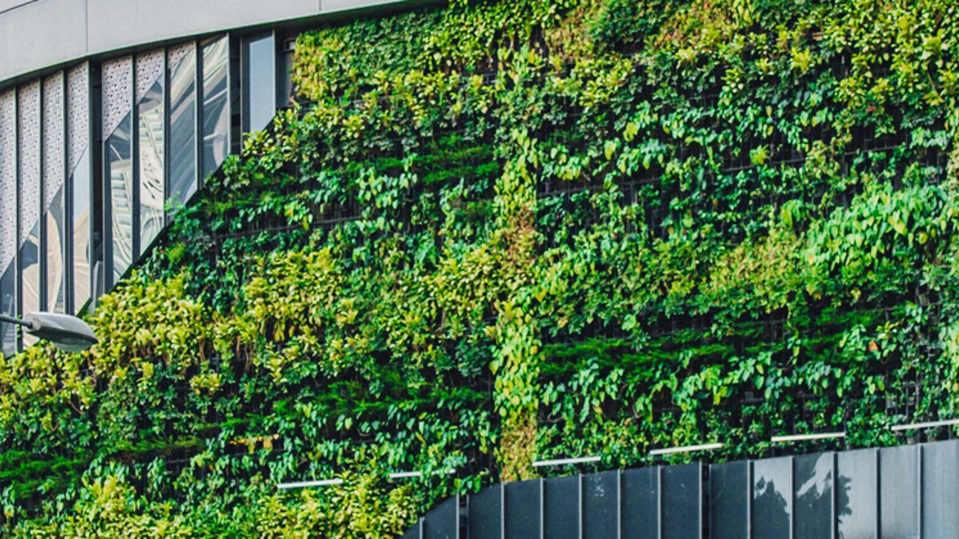 Strategy primer: sustainable themes