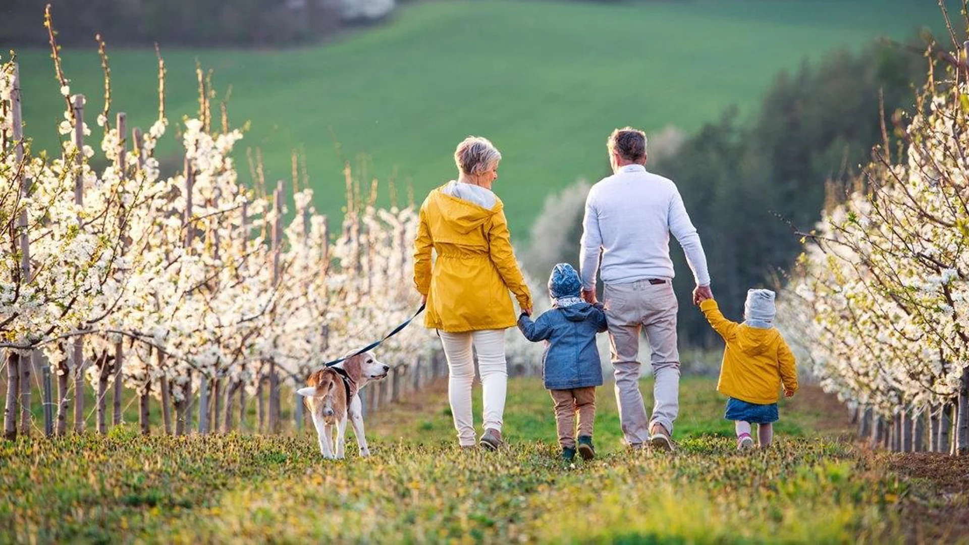 The rise of generational wealth: Unlocking new possibilities